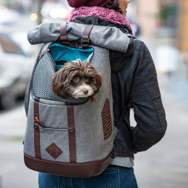 K9 Dog Carrier Backpack – Hands-Free Travel Pet Rucksack
